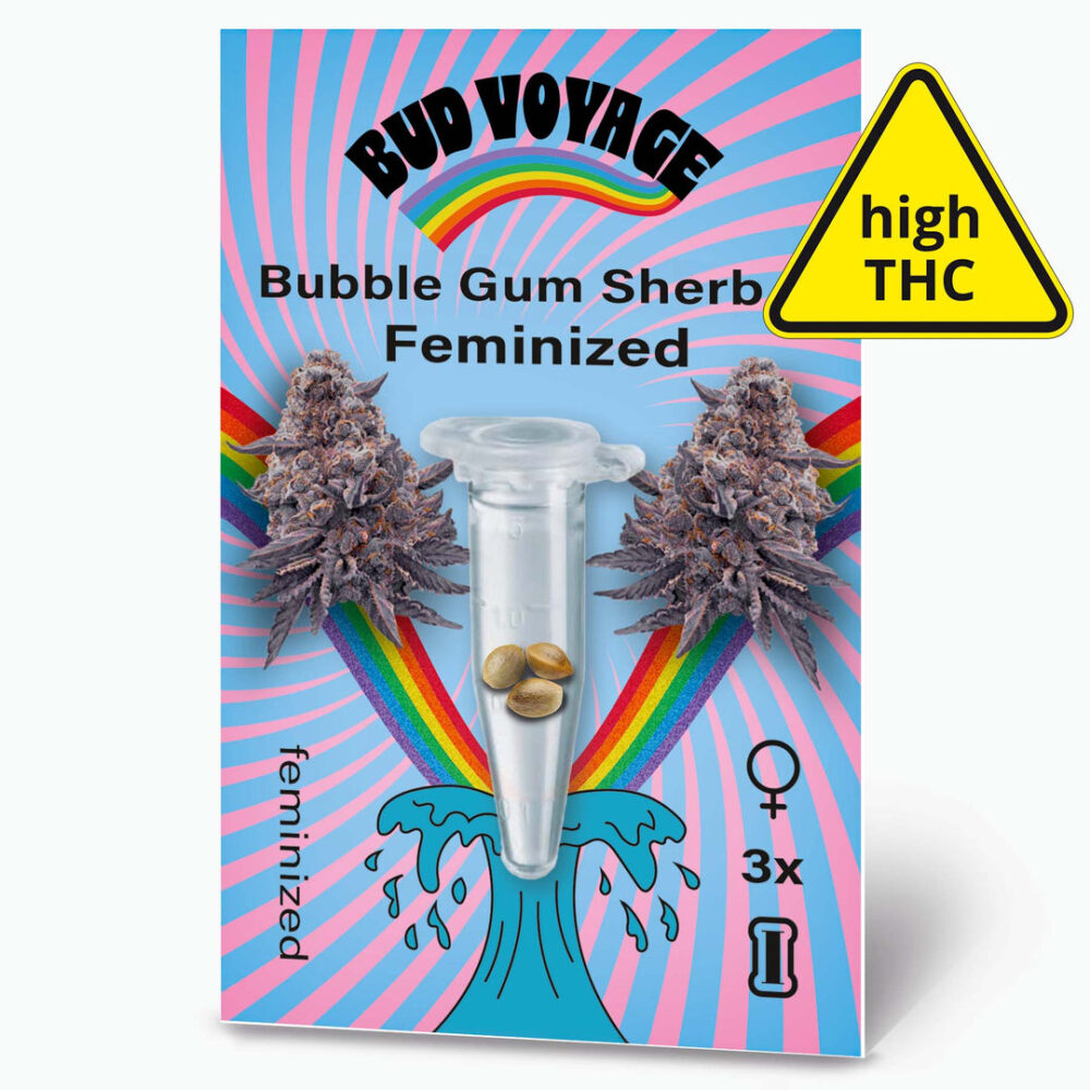 Hanfsamen BudVoyage Bubble Gum Sherb Fem (glücklich