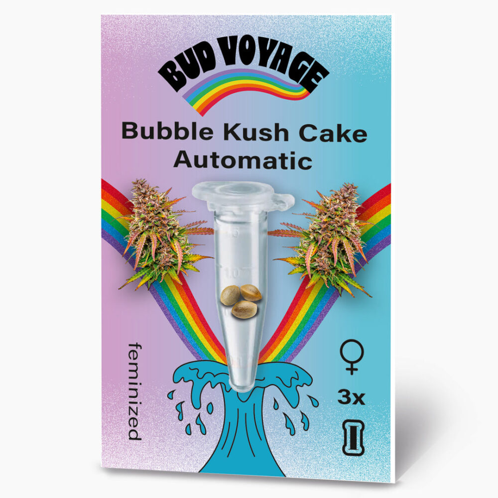 Hanfsamen BudVoyage Bubble Kush Cake Auto (Schlaffördernd