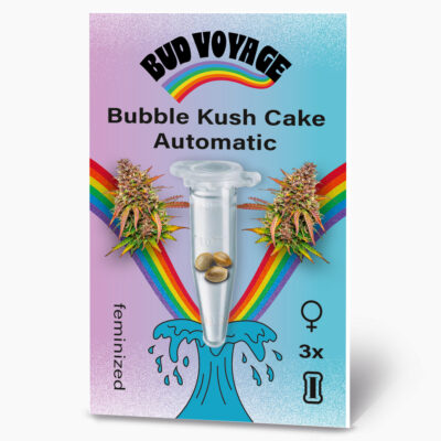 Hanfsamen BudVoyage Bubble Kush Cake Auto (Schlaffördernd