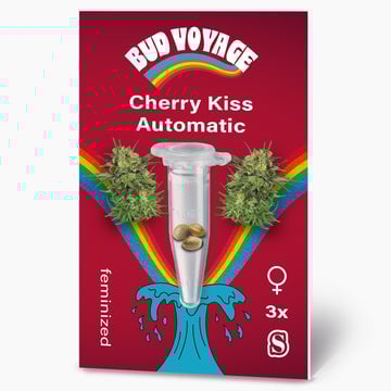 Hanfsamen BudVoyage Cherry Kiss Auto (Entspannend