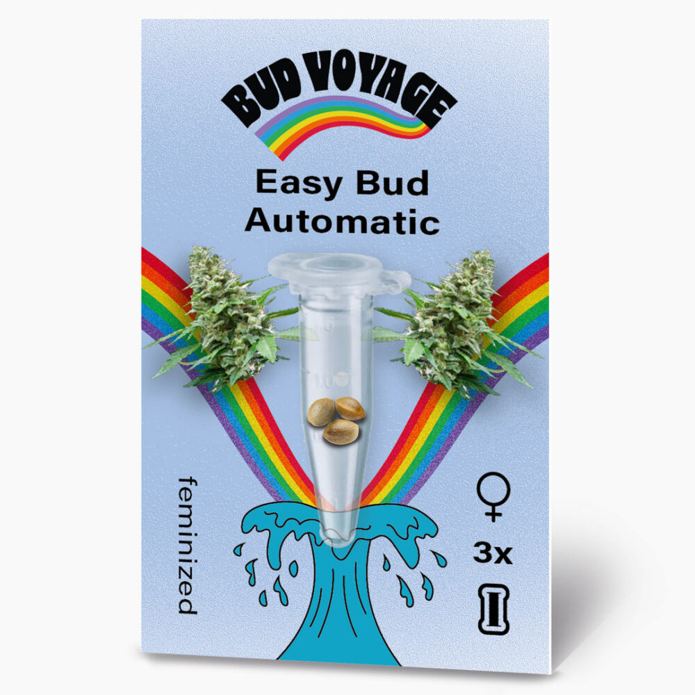 Hanfsamen BudVoyage Easy Bud Auto (Zitrone