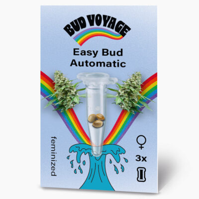 Hanfsamen BudVoyage Easy Bud Auto (Zitrone