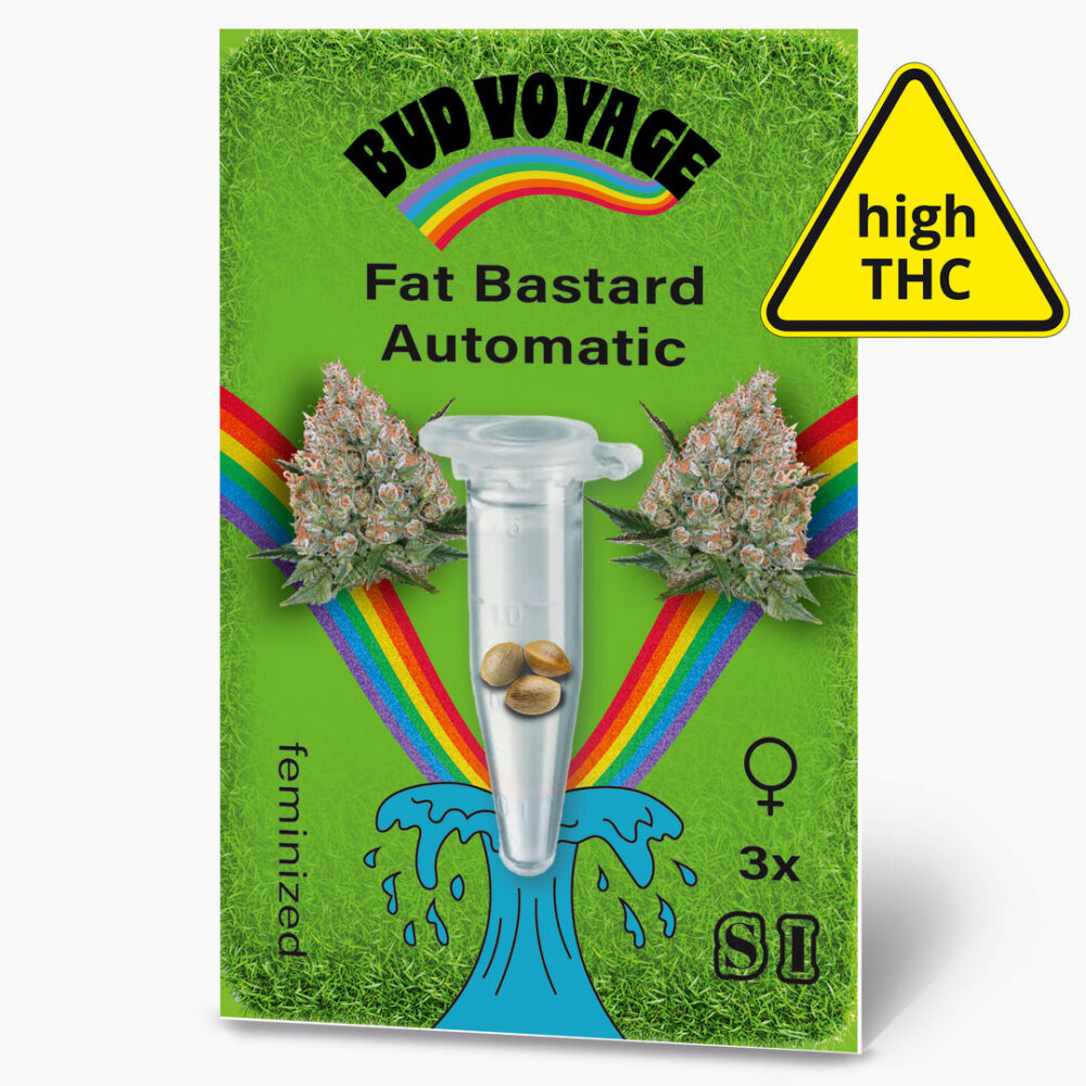 Hanfsamen BudVoyage Fat Bastard AUTO (Euphorisierend