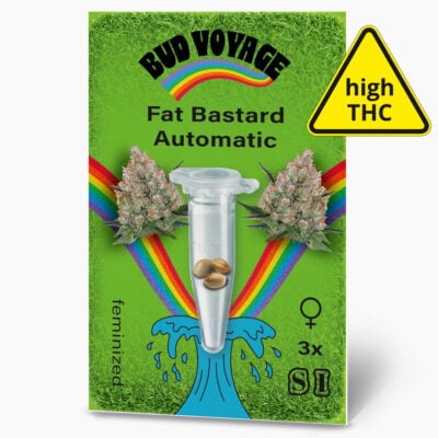 Hanfsamen BudVoyage Fat Bastard AUTO (Euphorisierend
