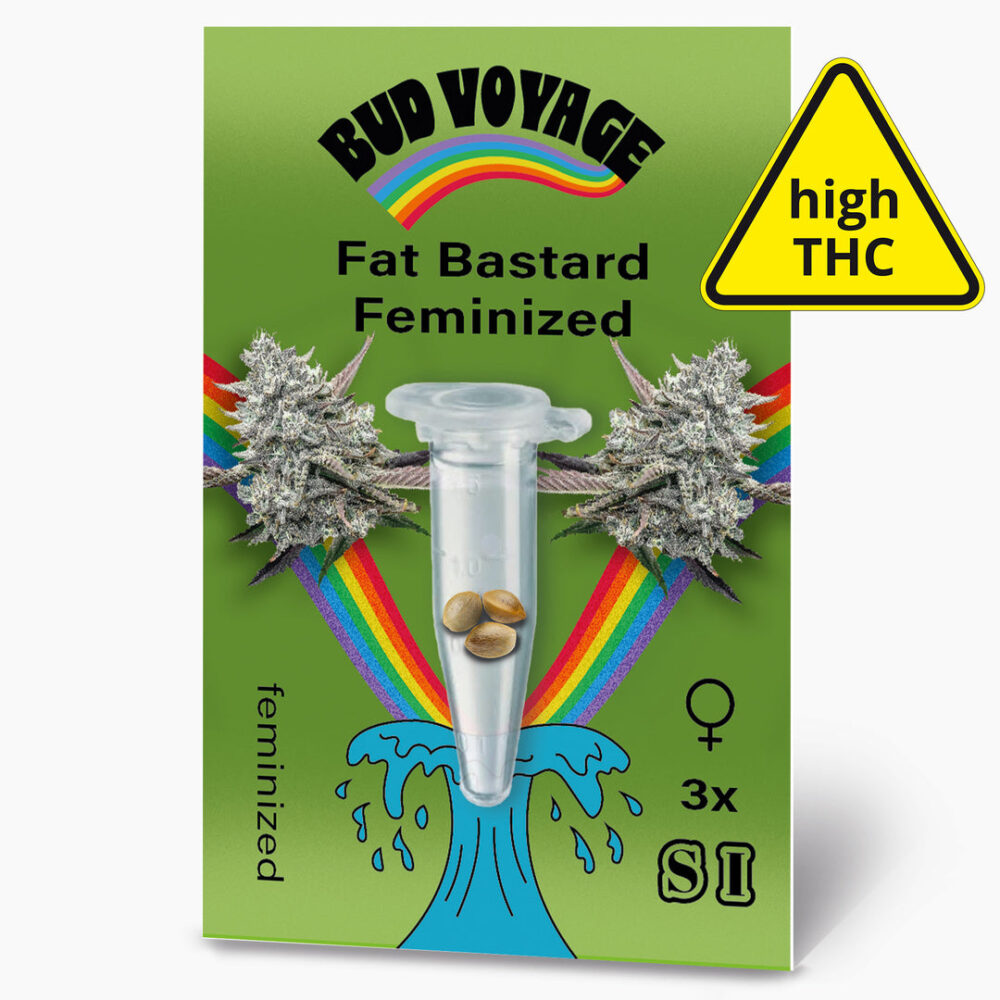 Hanfsamen BudVoyage Fat Bastard Fem (Euphorisierend