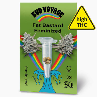 Hanfsamen BudVoyage Fat Bastard Fem (Euphorisierend