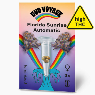 Hanfsamen BudVoyage Florida Sunrise AUTO (Belebend