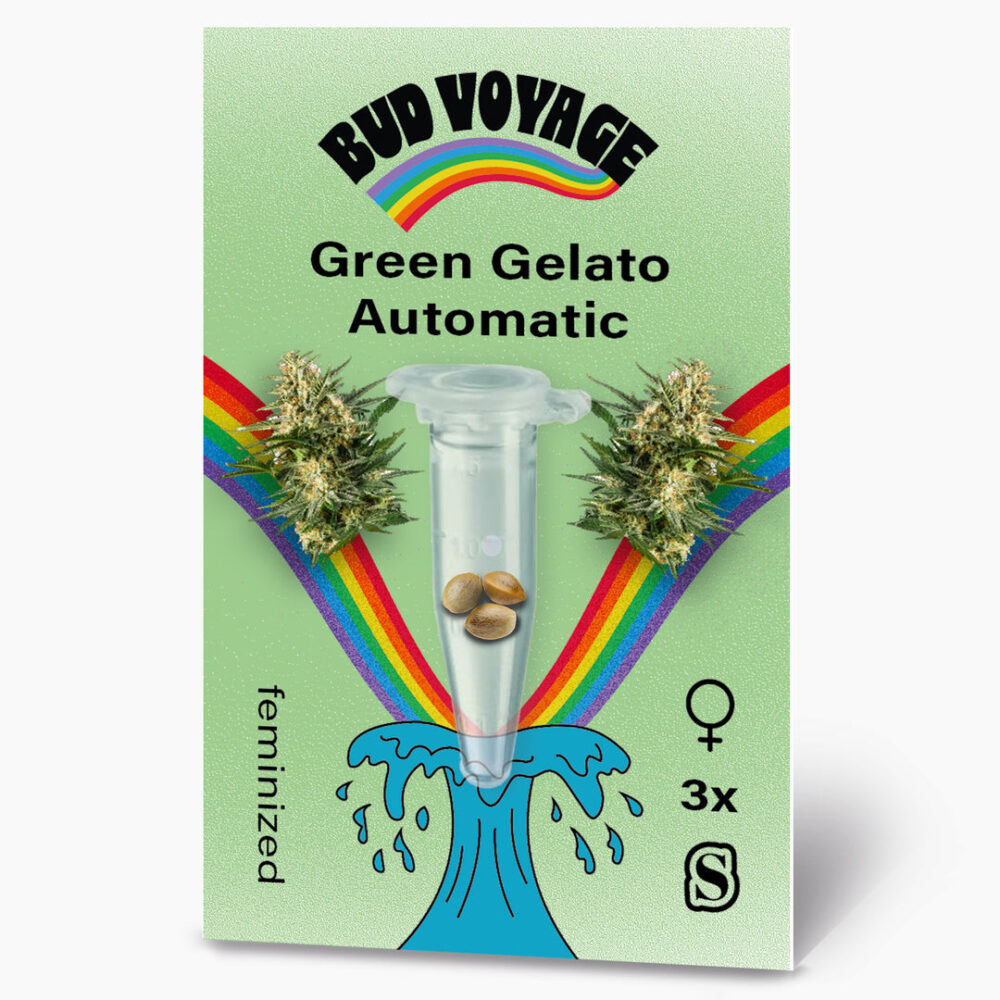 Hanfsamen BudVoyage Green Gelato Auto (Sativa
