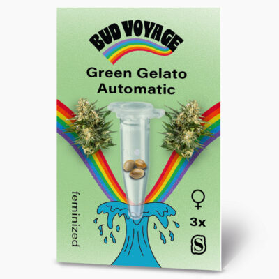 Hanfsamen BudVoyage Green Gelato Auto (Sativa