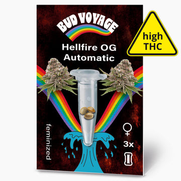 Hanfsamen BudVoyage Hellfire OG AUTO (Stresslindernd