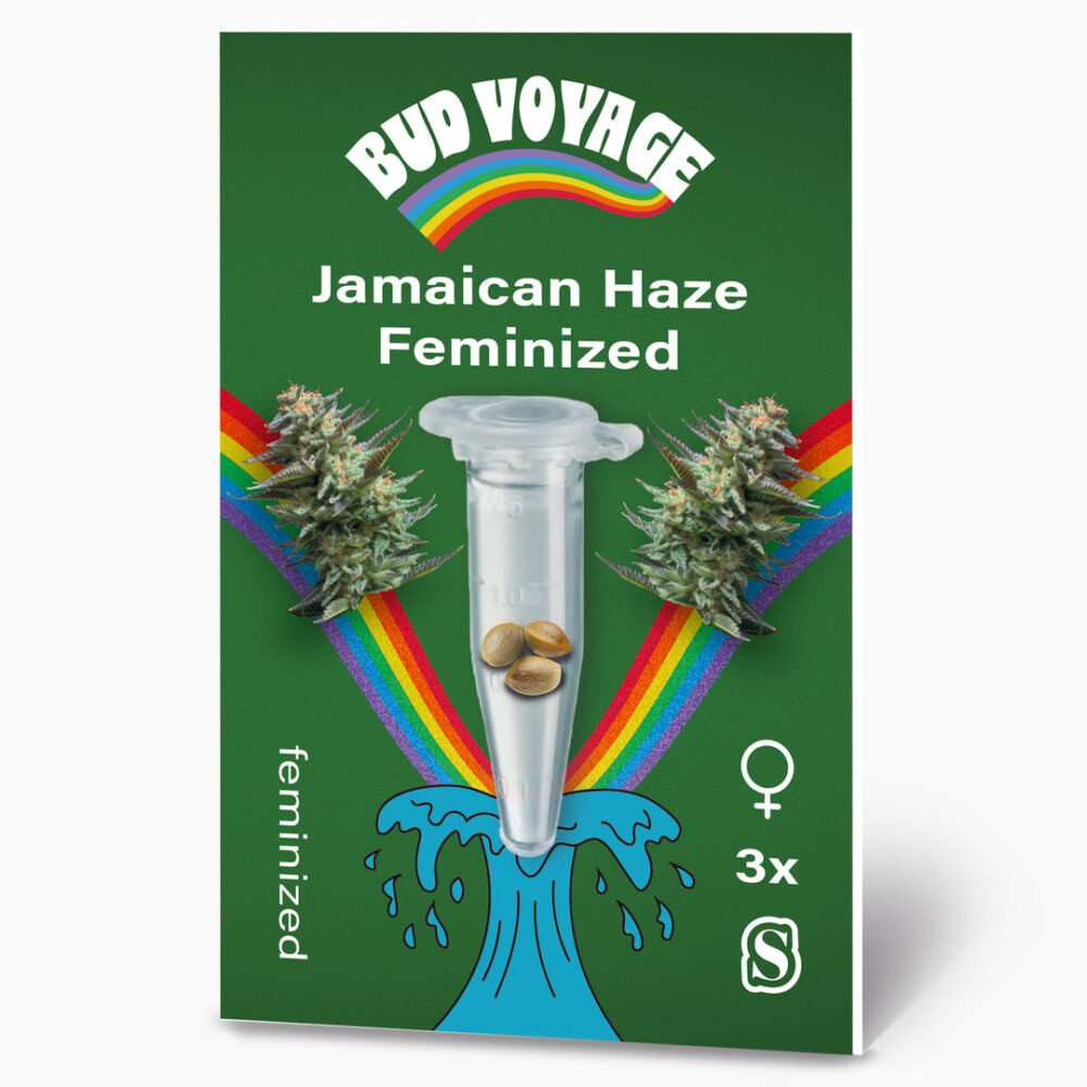 Hanfsamen BudVoyage Jamaican Haze Fem (Sativa