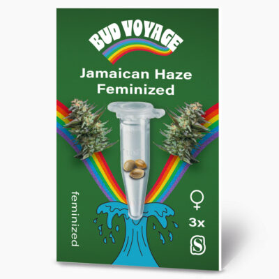 Hanfsamen BudVoyage Jamaican Haze Fem (Sativa