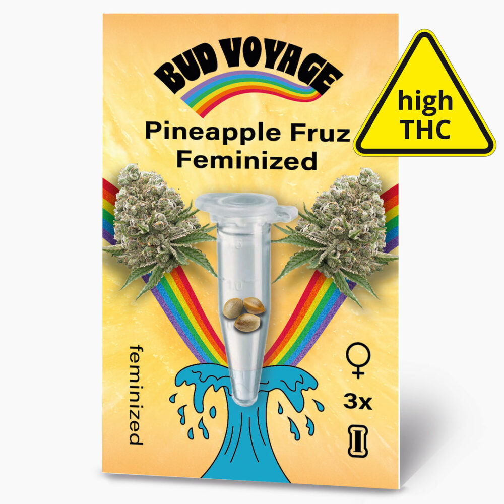 Hanfsamen BudVoyage Pineapple Fruz Fem (Unbeschwert