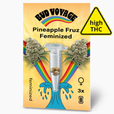 Hanfsamen BudVoyage Pineapple Fruz Fem (Unbeschwert