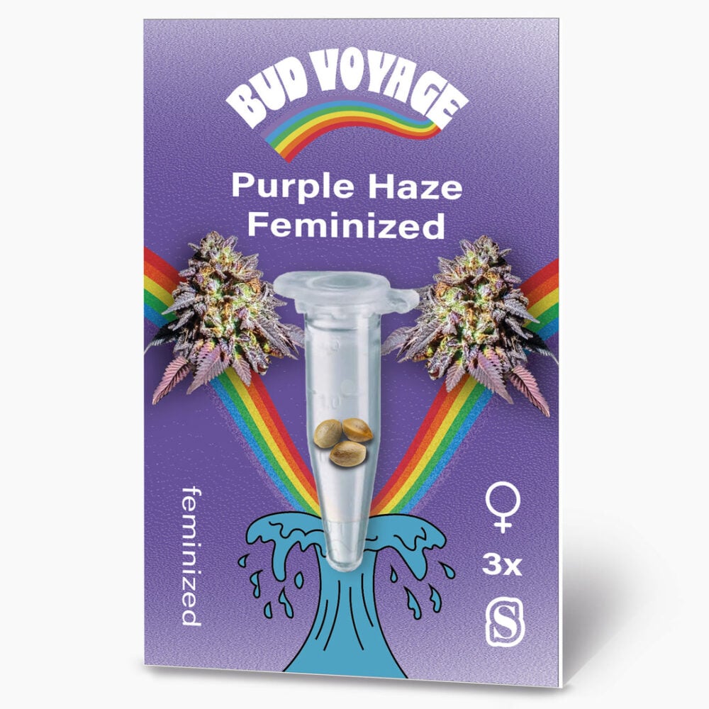 Hanfsamen BudVoyage Purple Haze Fem (euphorisch