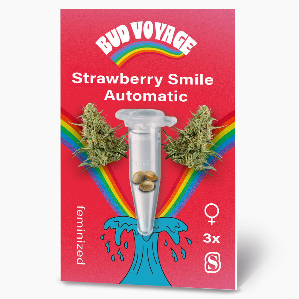 Hanfsamen BudVoyage Strawberry Smile Auto (Erheiternd