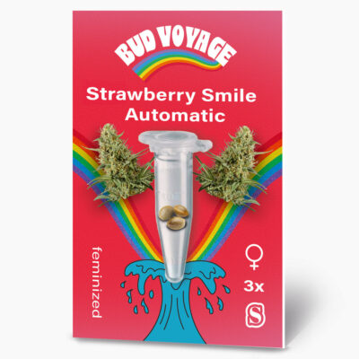 Hanfsamen BudVoyage Strawberry Smile Auto (Erheiternd