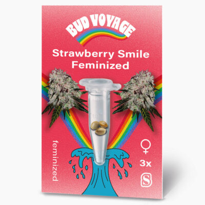 Hanfsamen BudVoyage Strawberry Smile Fem (Happy
