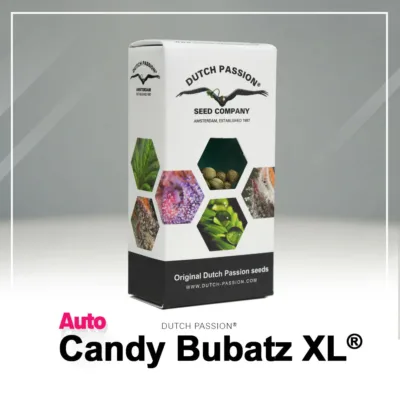 Hanfsamen DP Candy Bubatz XL Auto (anregend