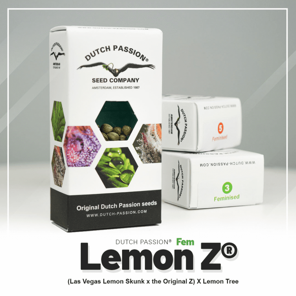 Hanfsamen DP Lemon Z Fem (belebend