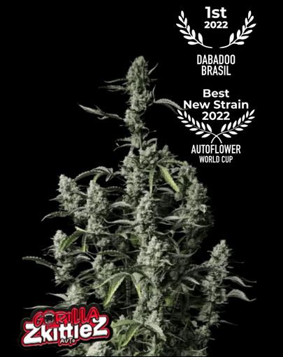 Hanfsamen FastBuds Gorilla Zkittlez Auto (fruchtig