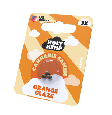 Hanfsamen HolyHemp US Orange Glaze Auto (medizin. Sorte