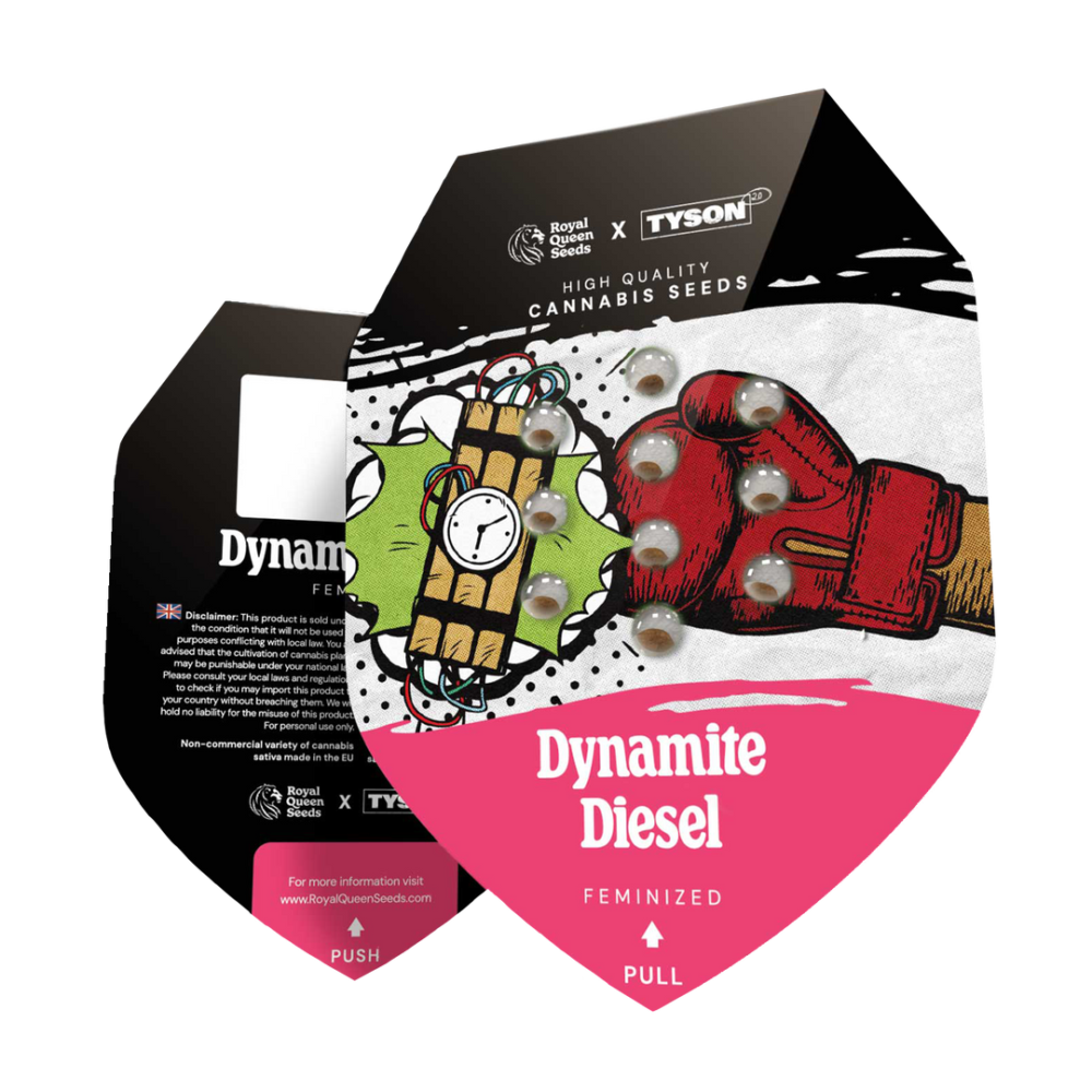 Hanfsamen RQS Dynamite Diesel Fem (würzig