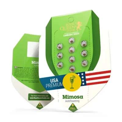 Hanfsamen RQS Mimosa USA Auto (aufmunternd