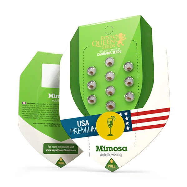 Hanfsamen RQS Mimosa USA Auto (aufmunternd