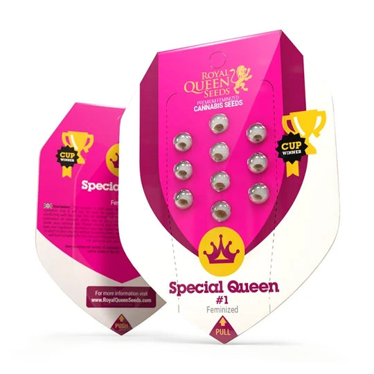 Hanfsamen RQS Special Queen No.1 Feminisiert (entspannend