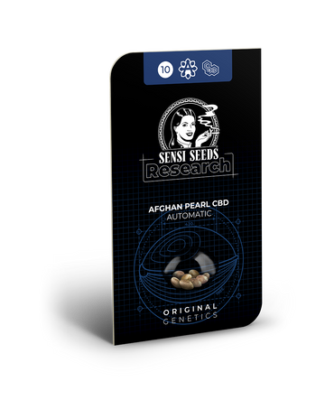 Hanfsamen Sensi Afghan Pearl Automatic (angenehm leicht