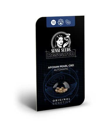 Hanfsamen Sensi Afghan Pearl Automatic (angenehm leicht