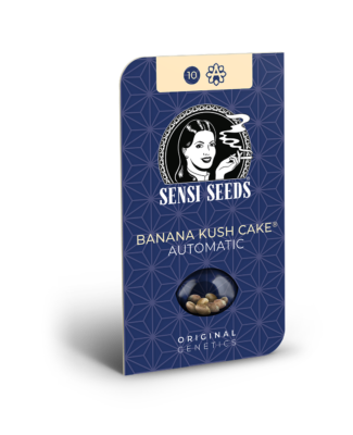 Hanfsamen Sensi Banana Kush Cake Automatic (träumerisch