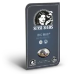 Hanfsamen Sensi Big Bud Auto (süß, entspannend, euphorisch)