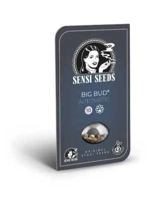 Hanfsamen Sensi Big Bud Auto (süß