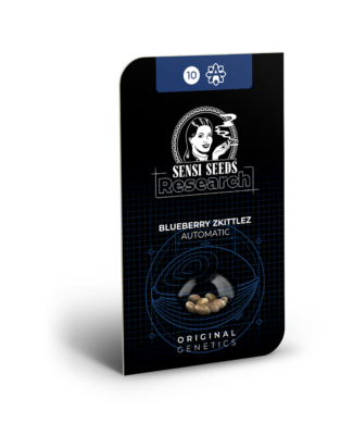 Hanfsamen Sensi Blueberry Zkittlez Automatic (angenehm euphorisch) - HANS Brainfood