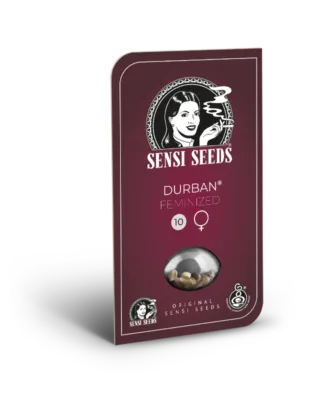 Hanfsamen Sensi Durban Fem (süß