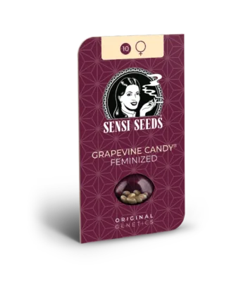 Hanfsamen Sensi Grapevine Candy Fem (fruchtig