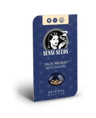 Hanfsamen Sensi Jack Herer Auto (würzig