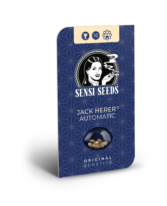 Hanfsamen Sensi Jack Herer Auto (würzig