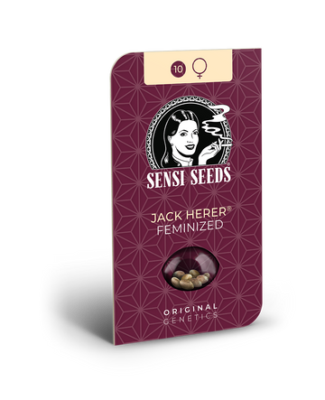 Hanfsamen Sensi Jack Herer Feminized (sehr stark