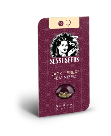 Hanfsamen Sensi Jack Herer Feminized (sehr stark