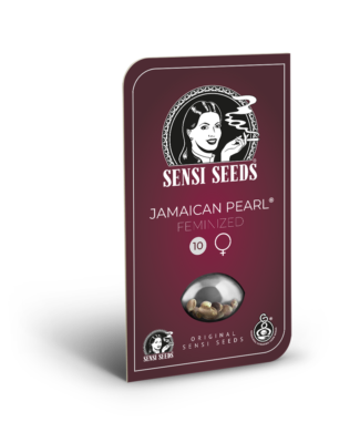 Hanfsamen Sensi Jamaican Pearl Feminized (leichte Sativa