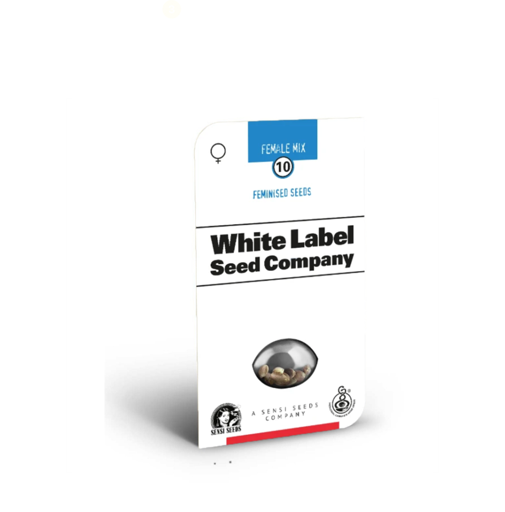 Hanfsamen Sensi Mix Feminized (10 Samen) - HANS Brainfood