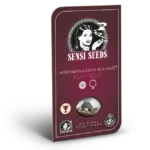 Hanfsamen Sensi Northern Lights No.5 X Haze Fem (zitrus, kreativ, entspannt)