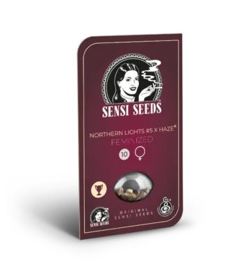 Hanfsamen Sensi Northern Lights No.5 X Haze Fem (zitrus