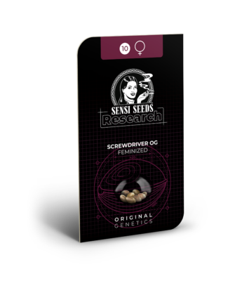 Hanfsamen Sensi Screwdriver OG Feminisiert (Sativa