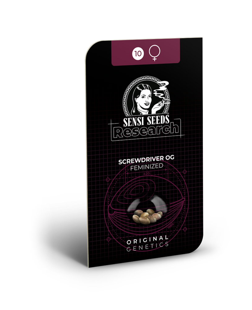 Hanfsamen Sensi Screwdriver OG Feminisiert (Sativa