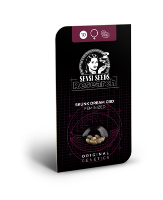 Hanfsamen Sensi Skunk Dream CBD Feminisiert (CBD Sorte