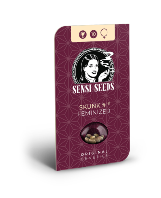 Hanfsamen Sensi Skunk No.1 Feminized (Klassiker